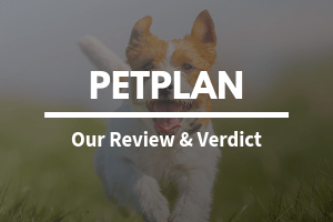 Petplan Policies – Review » The Pet Insurance Guide